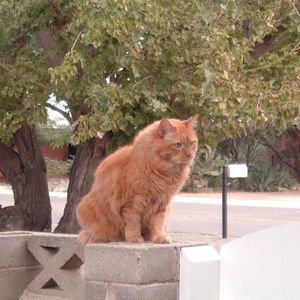 Meet your Posher, Jenny